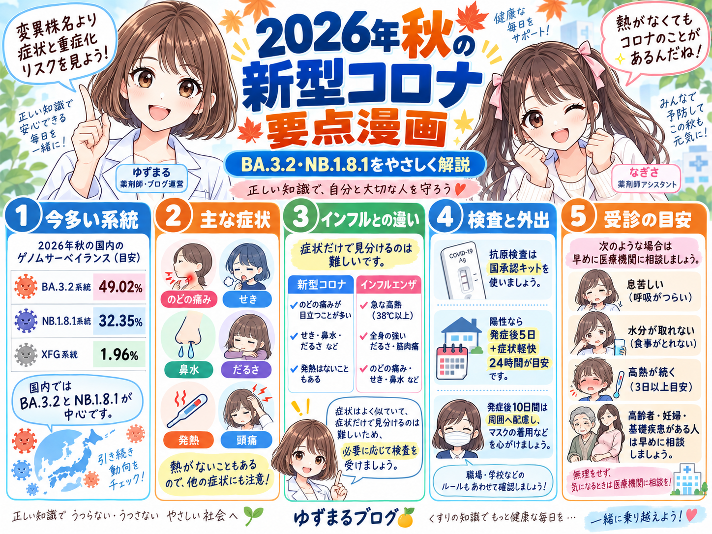 2026年秋の新型コロナで多い系統、主な症状、インフルとの違い、検査と外出、受診目安をまとめた要点漫画