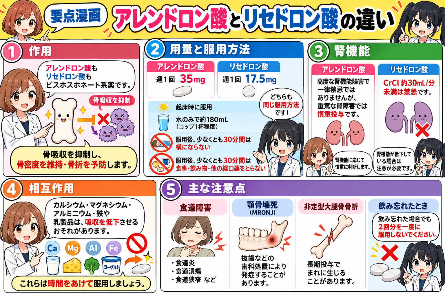 アレンドロン酸とリセドロン酸の作用・用量・服用方法・腎機能・相互作用・副作用を比較した要点漫画