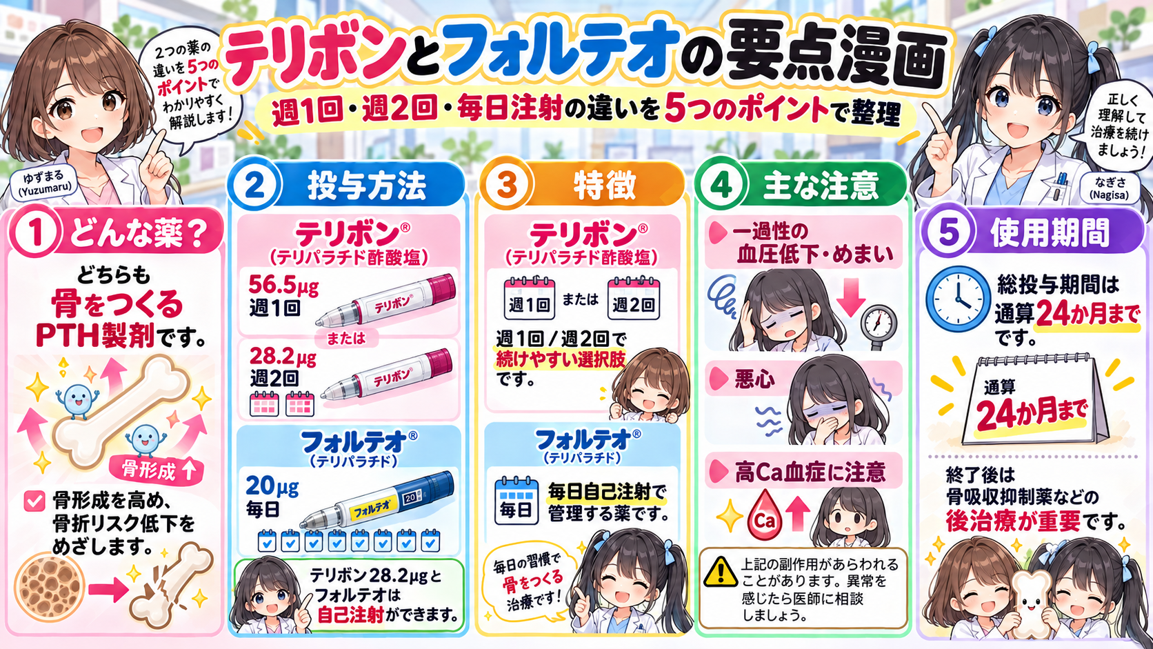 テリボンとフォルテオの作用・投与頻度・自己注射・血圧低下・高カルシウム血症・24か月上限を整理した要点漫画
