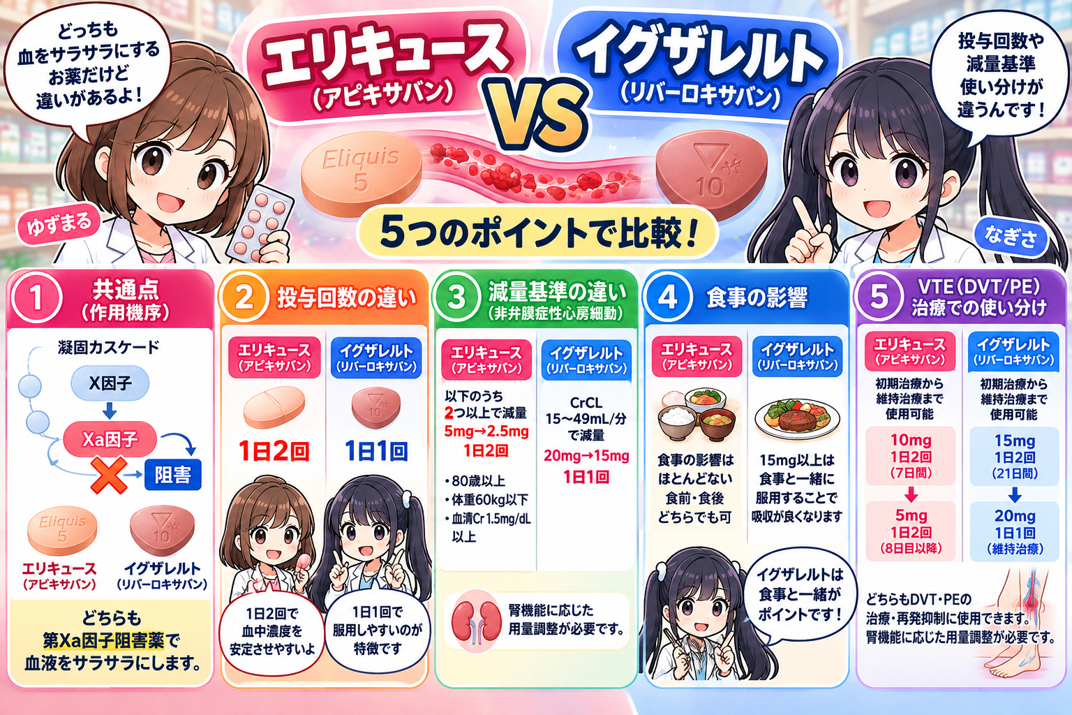 エリキュースとイグザレルトの作用機序・投与回数・減量基準・食事・VTE治療を5項目で比較した要点漫画